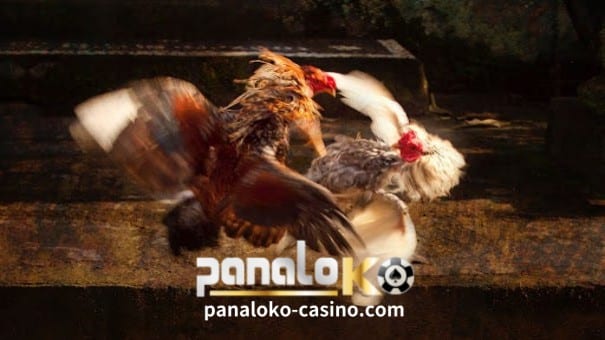 PanaloKO Online Casino-Sabong 1